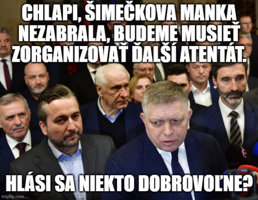 Príspevok 228950